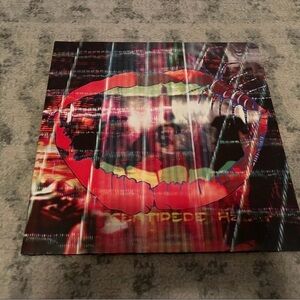 ANIMAL COLLECTIVE - Centipede Hz Deluxe Edition 180GM LP Vinyl EX